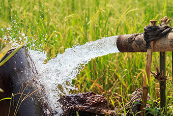 Call for Proposals – Host Institution for a Wastewater Biorefinery Innovation Cluster