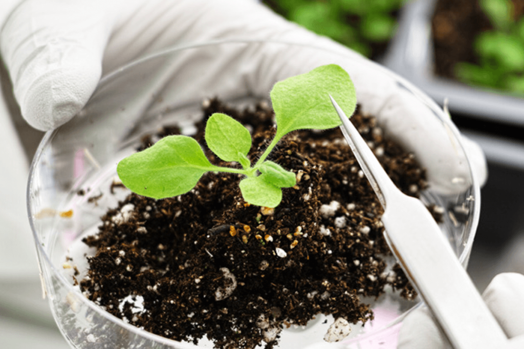 Call for Proposals – Living Labs Pilot Programme: Free State